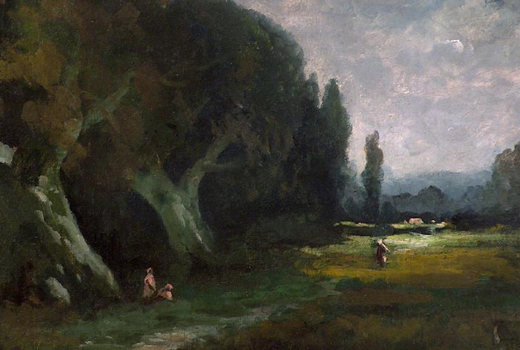 California Oaks and Pasture Path Closeup