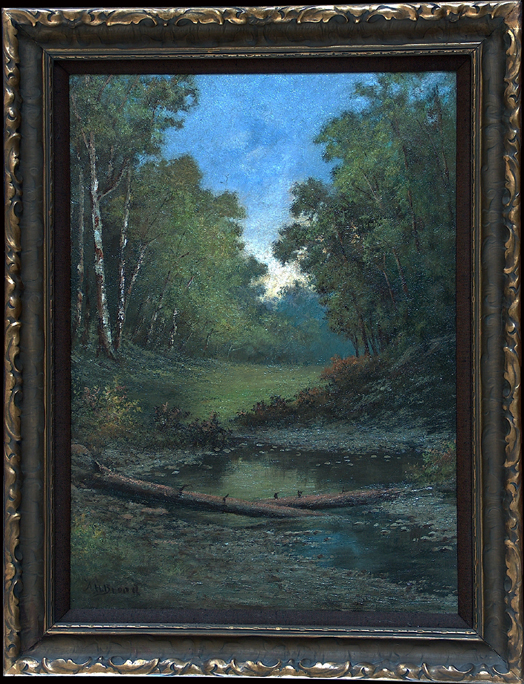 Broad Alphonso Forest Stream .jpg