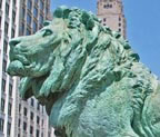 Chicago AIC Lion Thumbnail