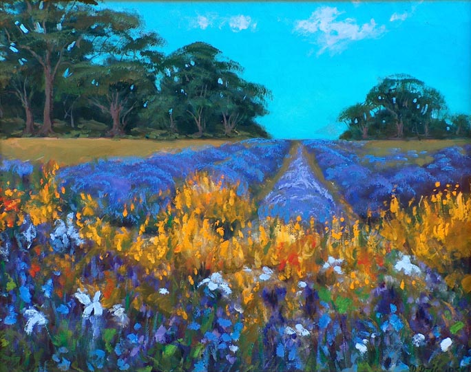 Dorothy Dzigurski Provence France Lavender Field