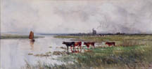 Hugo Anton Fisher At Estuarys Edge Alameda
