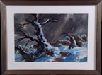 Jade Fon Night Owl Thumbnail