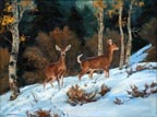 Bill Freeman Knee Deep in Snow Thumbnail