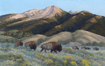 Bill Freeman Summer Range Midsized Thumbnail