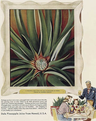 Georgia O'Keeffe Pineapple Bud used in a Dole Pineapple Ad