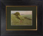 Grace Allison Griffith Pasture Path Thumbnail