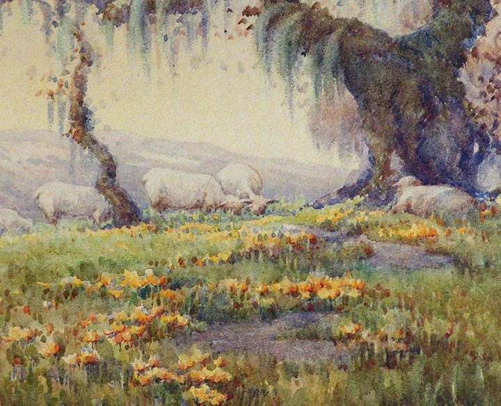 Grace Allison Griffith Grazing Sheep Sonoma 1924 Closeup