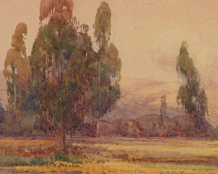 Grace Allison Griffith Pasture and Eucalytus Closeup