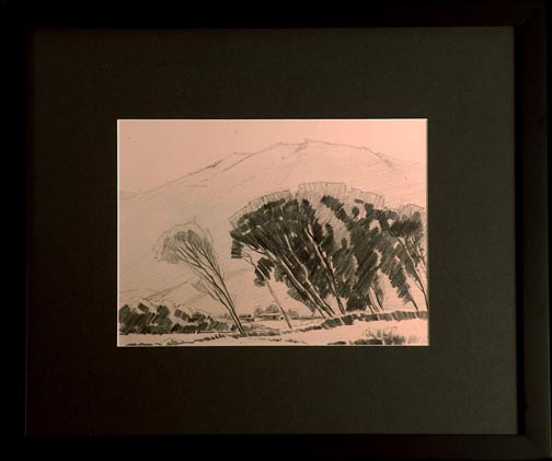 Sam Hyde Harris Eucalyptus and hillside California pencil on paper