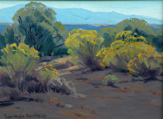 Sam Hyde Harris Rabbit Brush California Desert