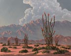 Kathi Hilton Borrego Spring