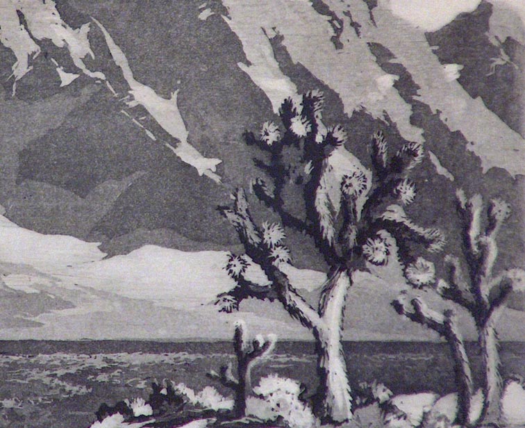 Orpha Klinker Winter Touches the Desert Closeup