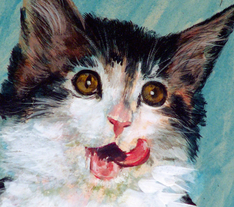 Jake Lee Cat Closeup