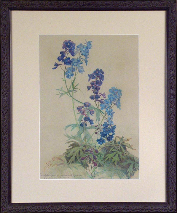 Leonard Lester Delphiniums 2 with Frame