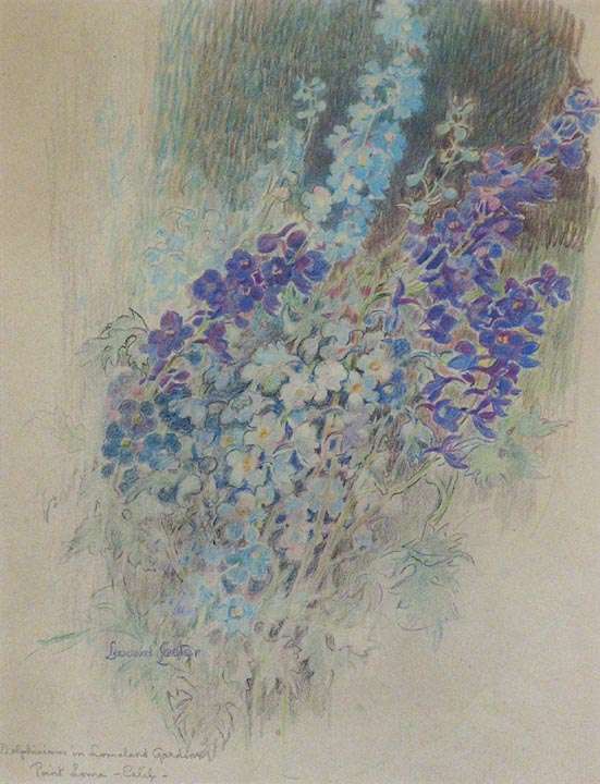 Leonard Lester Delphiniums 1