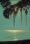 Harry Linder Moonlit Silhouette Thumbnail