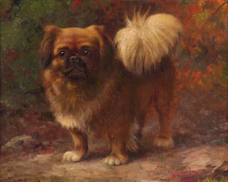 Gustave Adolph Magnussen Pekingese Dog