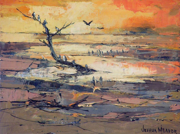 Joshua Meador Estuary Seabirds