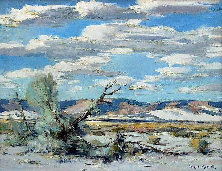 Joshua Meador Far Beyond near Palm Springs from the Disney Collection