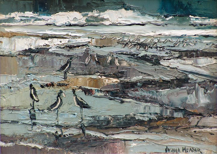Joshua Meador Sandpipers