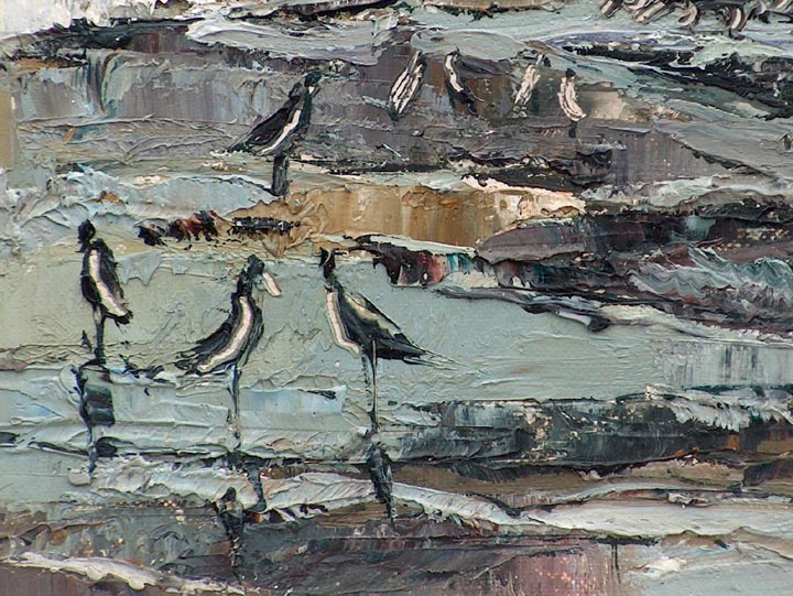 Joshua Meador Sandpipers Closeup
