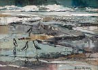Joshua Meador Sandpipers Thumbnail