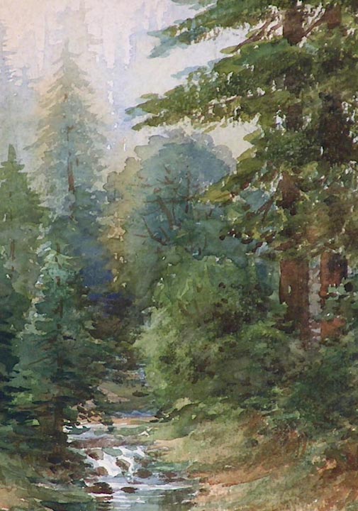 Marius Schmidt California Redwoods and Stream closeup