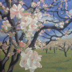 Linda Sorensen Apple Blossoms Near and Far