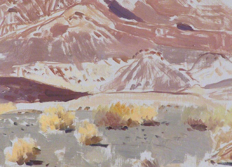 Jimmy Swinnerton Nevada Desert Near Hoover Dam Closeup