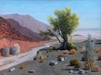 James Swinnerton Smoke Tree Wash Thumbnail