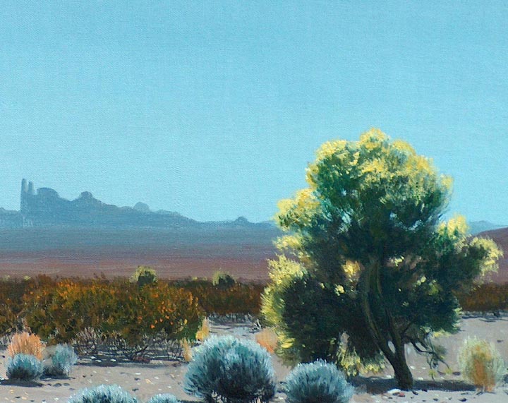 James Guiilford Swinnerton Yuma Desert Closeup