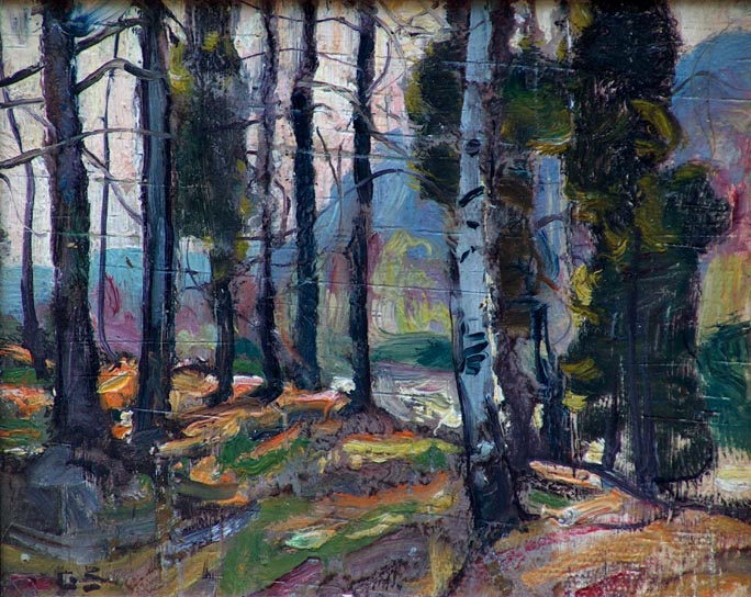 Symons George Gardner NE Forest NF .jpg