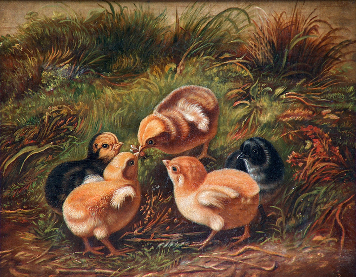 Arthur Fitzwilliam Tait Chicks