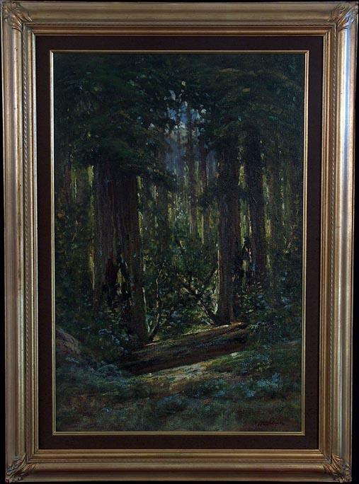Manuel Valencia California Redwood Forest