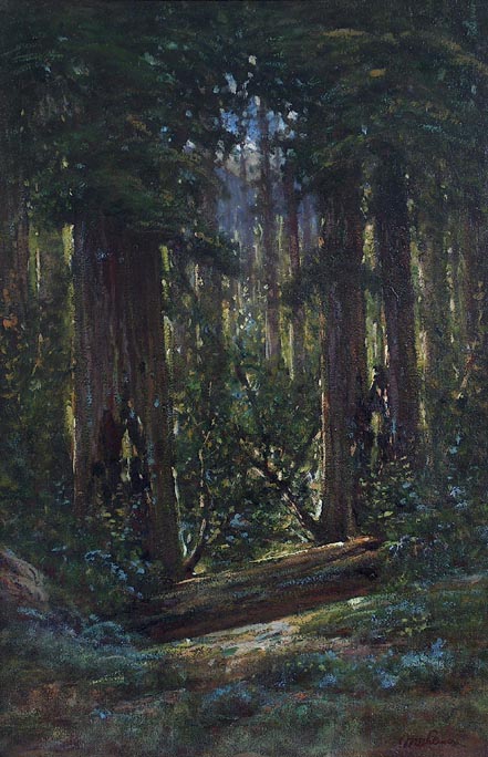 Valencia Manuel Redwood Forest NF .jpg