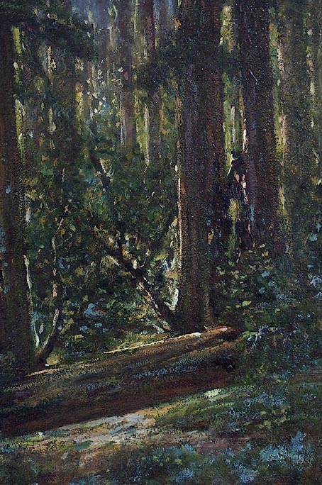 Valencia Manuel Redwood Forest Part .jpg