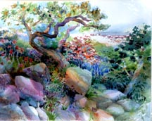 Jean Warren Garden Respite Midsized Thumbnail