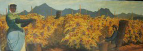 Prepping for Harvest