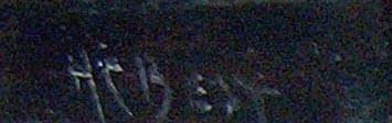 Best Harry Cassie Mt Shasta Sign .jpg