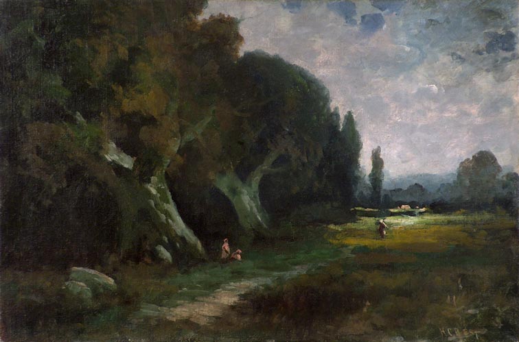 California Oaks and Pasture Path