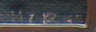 Best Harry Cassie Trees with Mt Shasta Sign .jpg