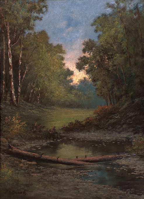 Alphonso Broad Forest stream