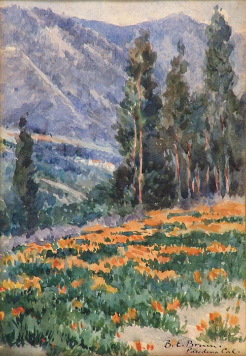 Benjamin Chambers Brown Poppies and Eucalyptus Watercolor
