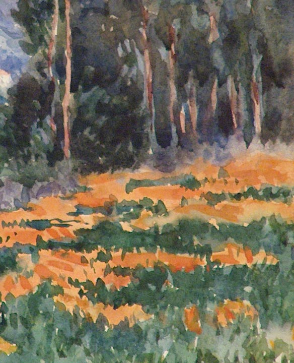 Benjamin Chambers Brown Poppies and Eucalyptus Watercolor closeup