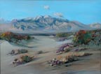Frederick Chisnall Flowering Desert Thumbnail