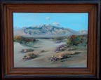 Fred Chisnall Flowering Desert Thumb