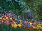 Alex Dzigurski II Petaluma Cottage Thumbnail