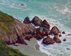 Alex Dzigurski II Point Bonita Thumbnail