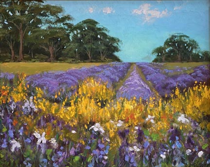 Dorothy Dzigurski, Lavender Fields, Provence, France
