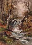 Hugo Anton Fisher Landscape Waterfall Thumbnail